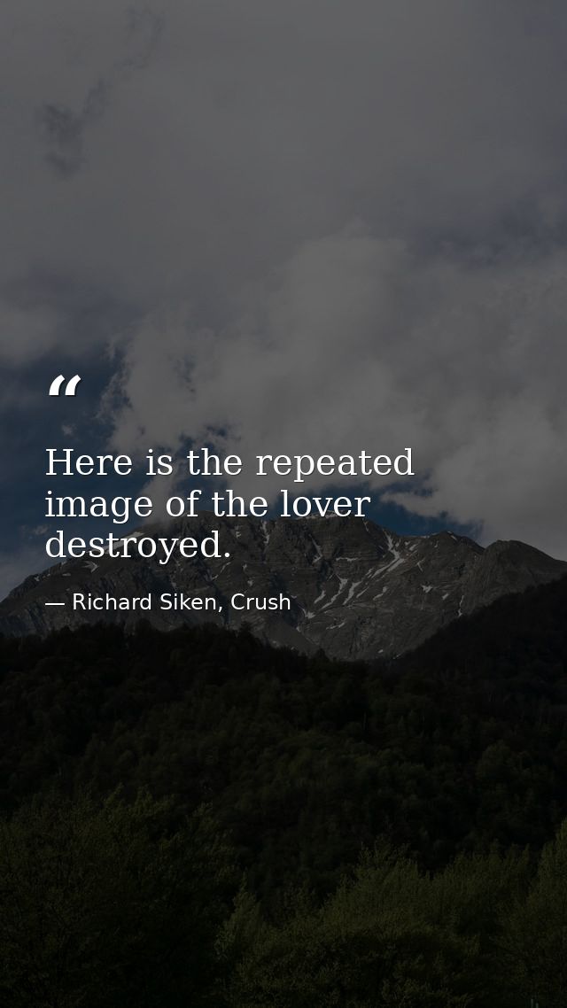 Here is the repeated image of the lover destroyed. — Richard Siken, Crush