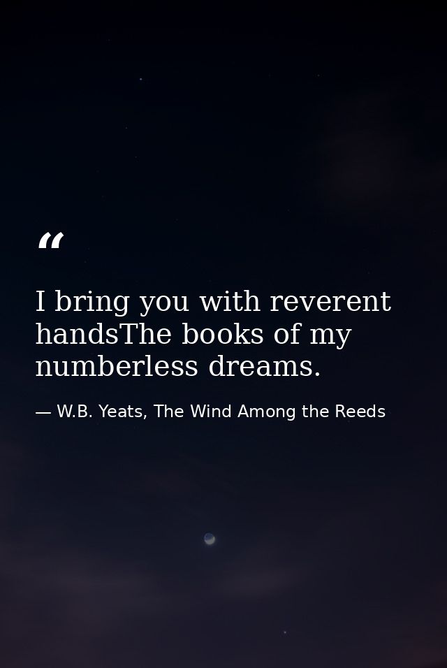 I bring you with reverent handsThe books of my numberless dreams. — W.B. Yeats, The Wind Among the Reeds