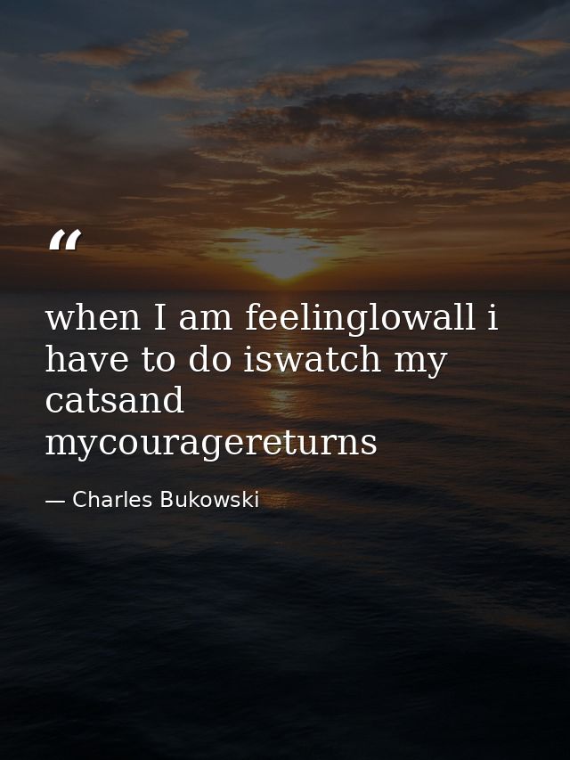 when I am feelinglowall i have to do iswatch my catsand mycouragereturns — Charles Bukowski