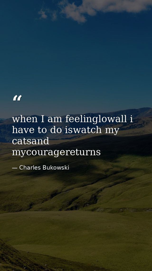 when I am feelinglowall i have to do iswatch my catsand mycouragereturns — Charles Bukowski