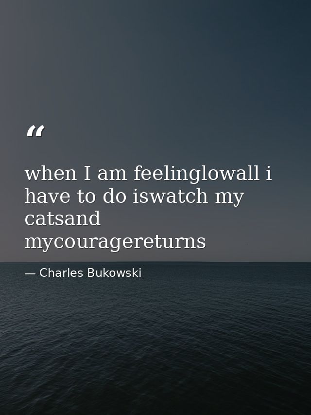 when I am feelinglowall i have to do iswatch my catsand mycouragereturns — Charles Bukowski