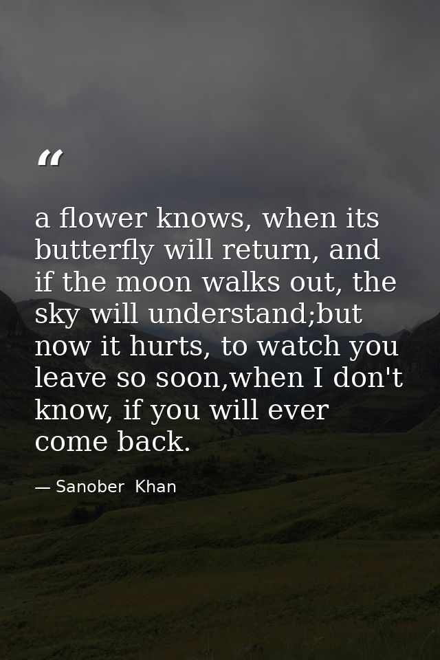 a flower knows, when its butterfly will return, and if the moon walks out, the sky will understand;but now it hurts, to  — Sanober  Khan