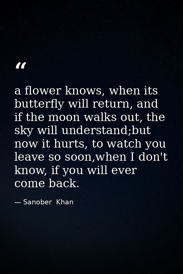 a flower knows, when its butterfly will return, and if the moon walks out, the sky will understand;but now it hurts, to  — Sanober  Khan