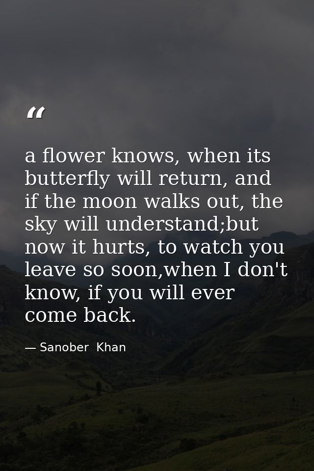 a flower knows, when its butterfly will return, and if the moon walks out, the sky will understand;but now it hurts, to  — Sanober  Khan