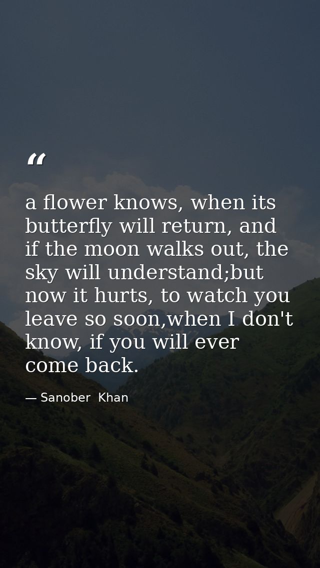 a flower knows, when its butterfly will return, and if the moon walks out, the sky will understand;but now it hurts, to  — Sanober  Khan