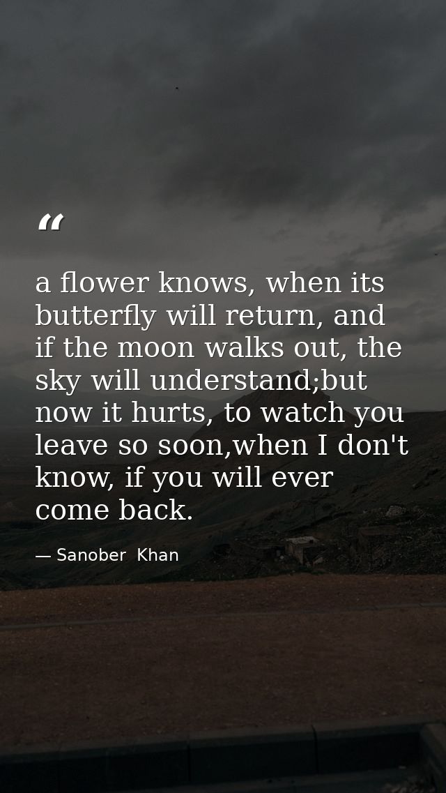 a flower knows, when its butterfly will return, and if the moon walks out, the sky will understand;but now it hurts, to  — Sanober  Khan