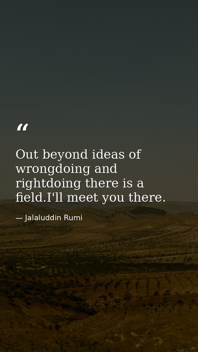 Out beyond ideas of wrongdoing and rightdoing there is a field.I'll meet you there. — Jalaluddin Rumi