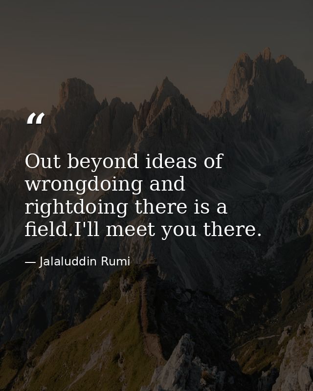 Out beyond ideas of wrongdoing and rightdoing there is a field.I'll meet you there. — Jalaluddin Rumi