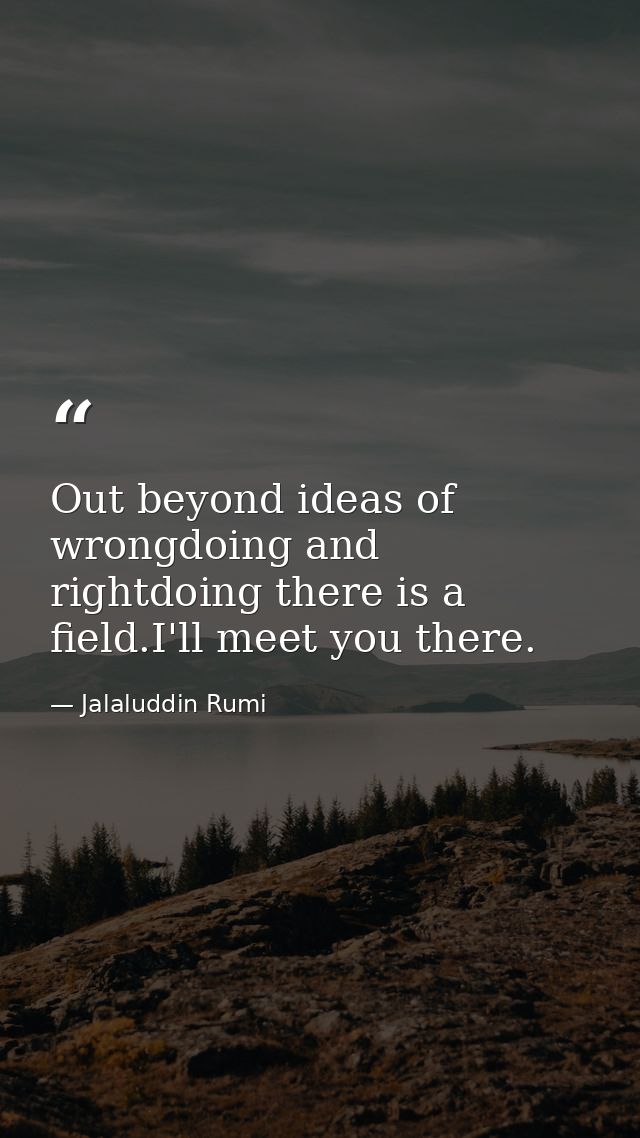 Out beyond ideas of wrongdoing and rightdoing there is a field.I'll meet you there. — Jalaluddin Rumi
