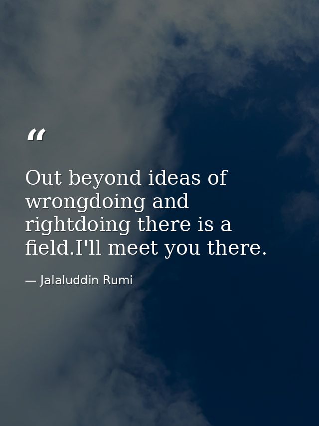 Out beyond ideas of wrongdoing and rightdoing there is a field.I'll meet you there. — Jalaluddin Rumi