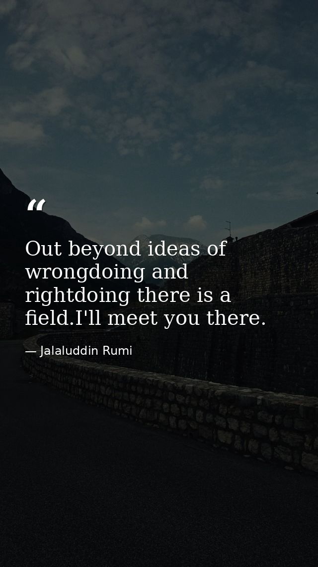 Out beyond ideas of wrongdoing and rightdoing there is a field.I'll meet you there. — Jalaluddin Rumi
