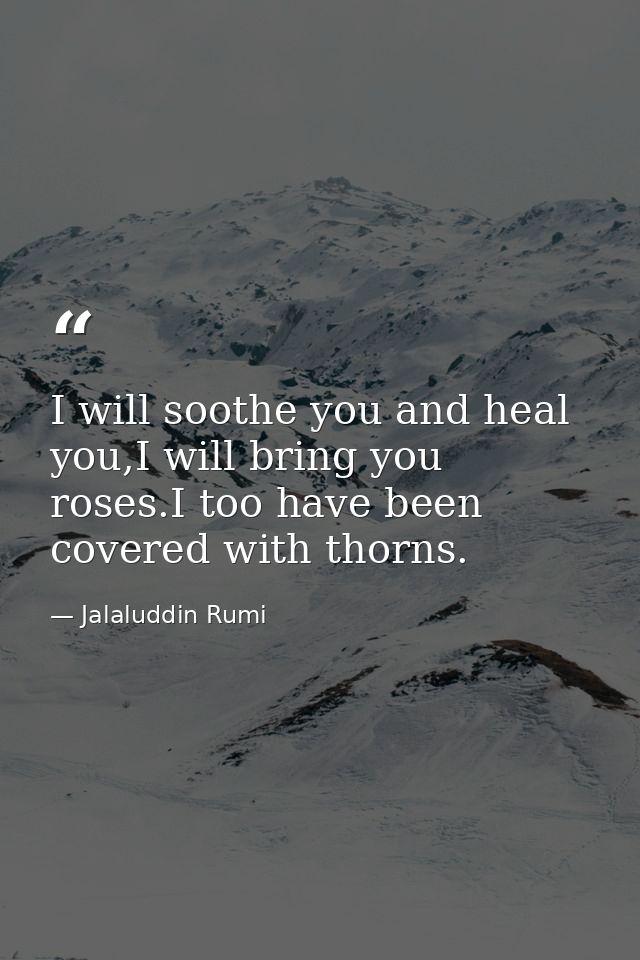 I will soothe you and heal you,I will bring you roses.I too have been covered with thorns. — Jalaluddin Rumi