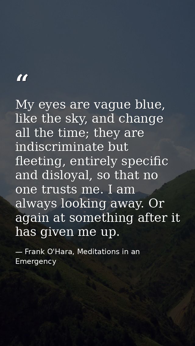 My eyes are vague blue, like the sky, and change all the time; they are indiscriminate but fleeting, entirely specific a — Frank O'Hara, Meditations in an Emergency