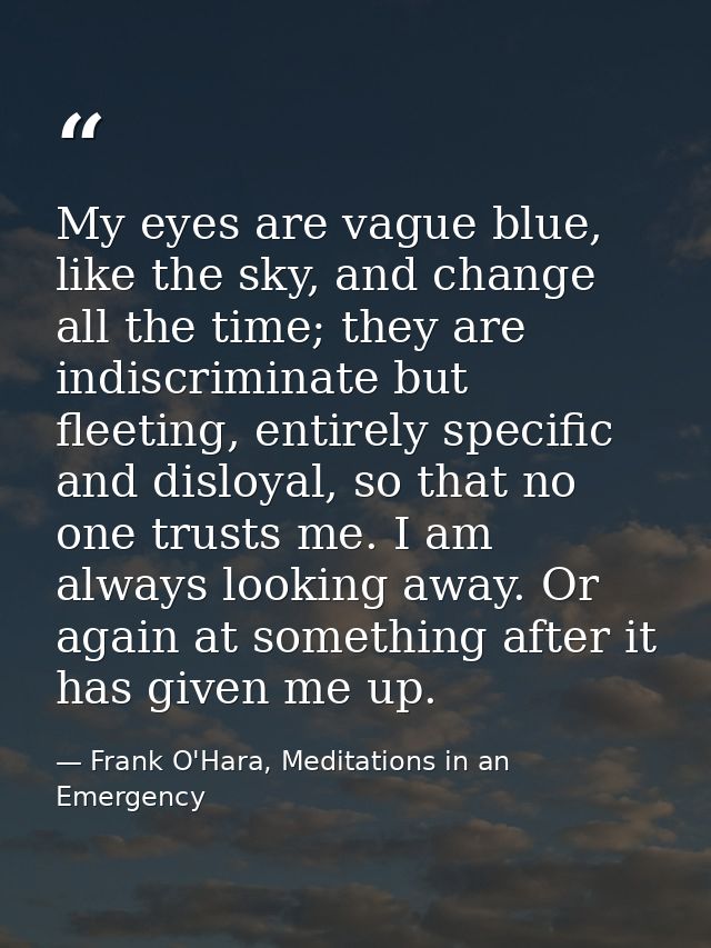 My eyes are vague blue, like the sky, and change all the time; they are indiscriminate but fleeting, entirely specific a — Frank O'Hara, Meditations in an Emergency