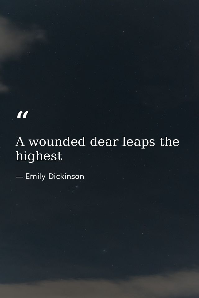 A wounded dear leaps the highest — Emily Dickinson
