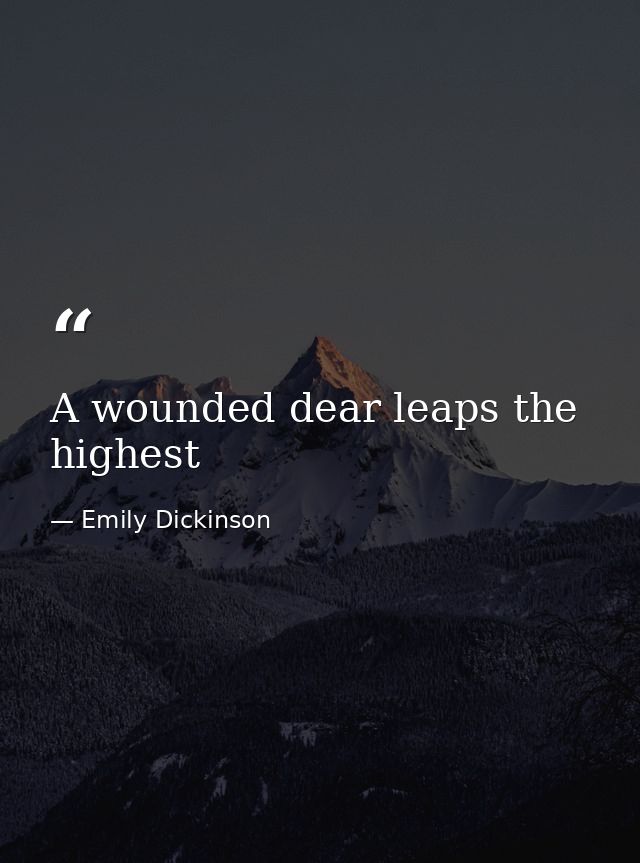 A wounded dear leaps the highest — Emily Dickinson