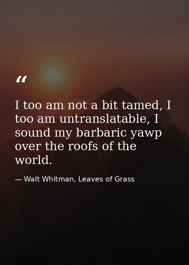 I too am not a bit tamed, I too am untranslatable, I sound my barbaric yawp over the roofs of the world. — Walt Whitman, Leaves of Grass