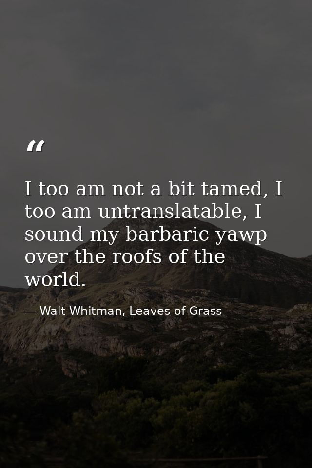 I too am not a bit tamed, I too am untranslatable, I sound my barbaric yawp over the roofs of the world. — Walt Whitman, Leaves of Grass