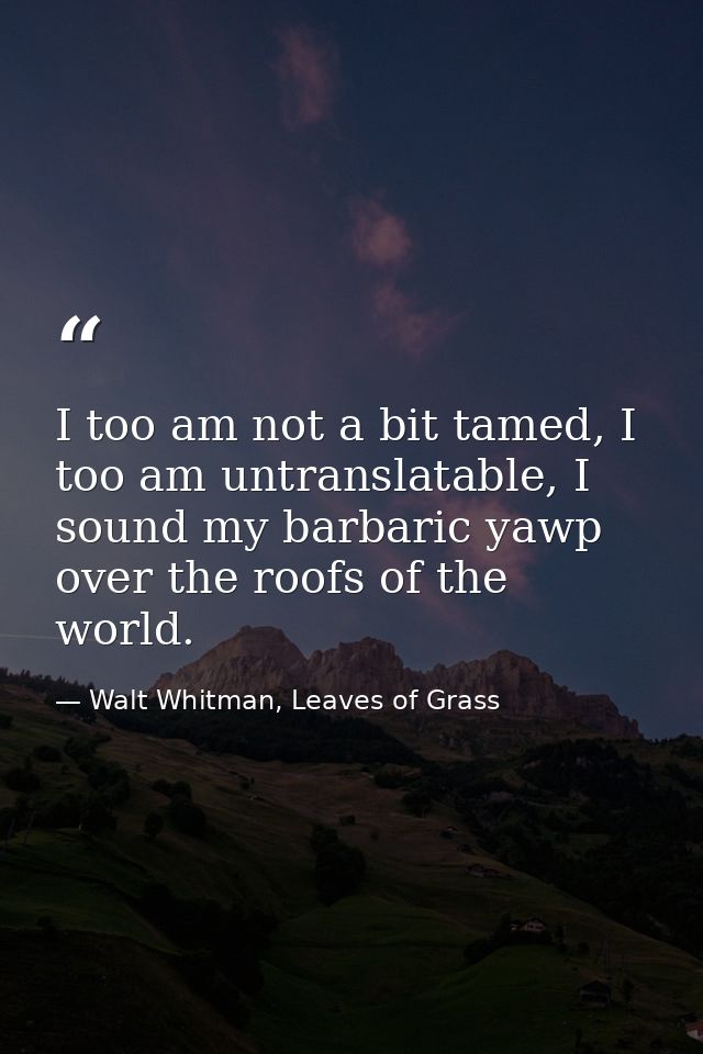 I too am not a bit tamed, I too am untranslatable, I sound my barbaric yawp over the roofs of the world. — Walt Whitman, Leaves of Grass