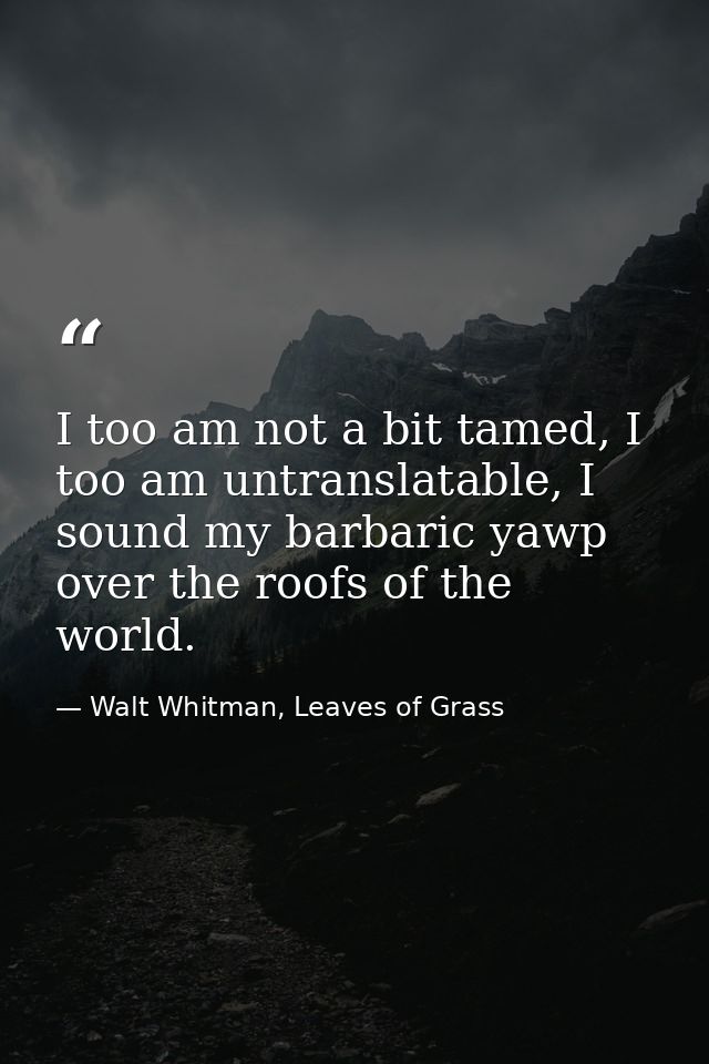 I too am not a bit tamed, I too am untranslatable, I sound my barbaric yawp over the roofs of the world. — Walt Whitman, Leaves of Grass