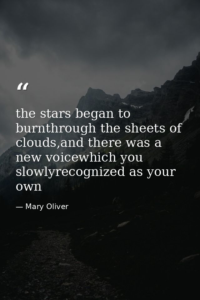 the stars began to burnthrough the sheets of clouds,and there was a new voicewhich you slowlyrecognized as your own — Mary Oliver