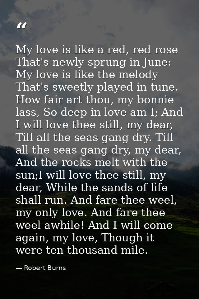 My love is like a red, red rose That's newly sprung in June: My love is like the melody That's sweetly played in tune. H — Robert Burns