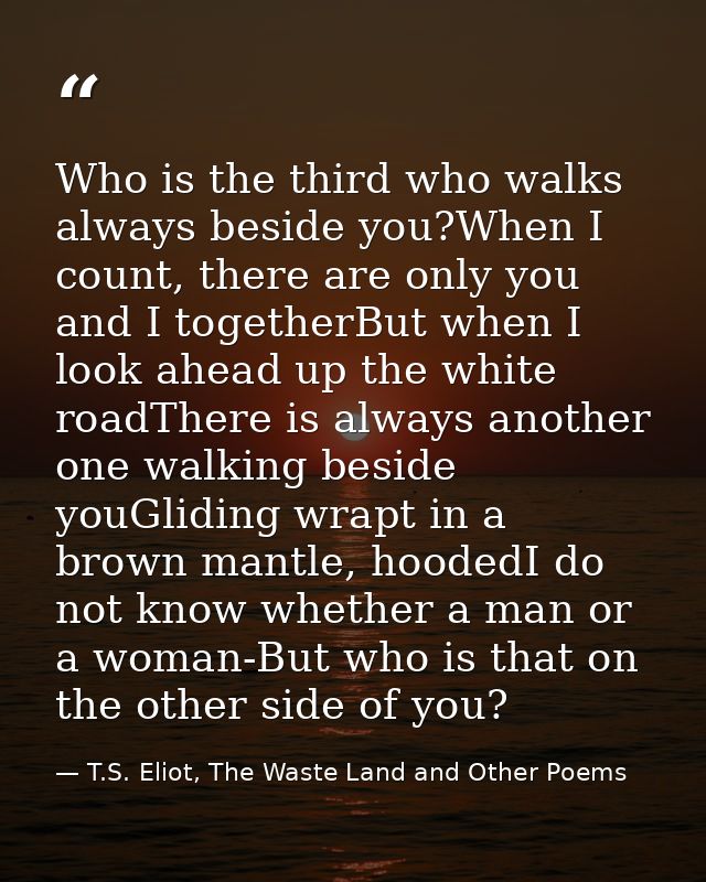 Who is the third who walks always beside you?When I count, there are only you and I togetherBut when I look ahead up the — T.S. Eliot, The Waste Land and Other Poems