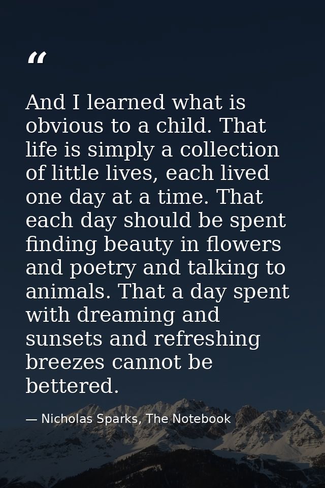 And I learned what is obvious to a child. That life is simply a collection of little lives, each lived one day at a time — Nicholas Sparks, The Notebook