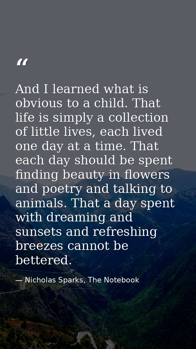 And I learned what is obvious to a child. That life is simply a collection of little lives, each lived one day at a time — Nicholas Sparks, The Notebook