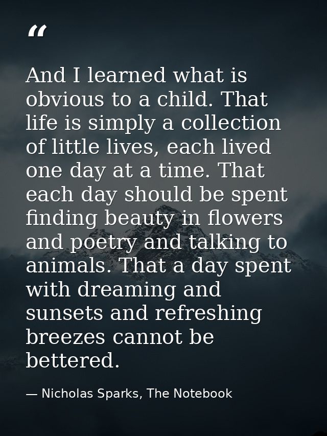 And I learned what is obvious to a child. That life is simply a collection of little lives, each lived one day at a time — Nicholas Sparks, The Notebook