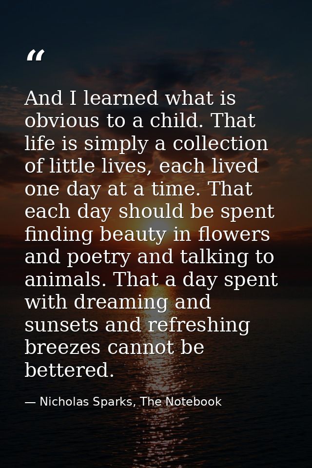 And I learned what is obvious to a child. That life is simply a collection of little lives, each lived one day at a time — Nicholas Sparks, The Notebook
