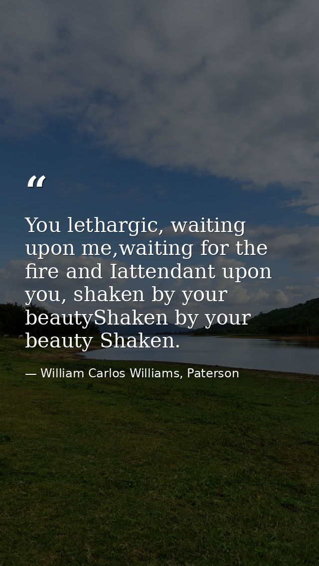 You lethargic, waiting upon me,waiting for the fire and Iattendant upon you, shaken by your beautyShaken by your beauty  — William Carlos Williams, Paterson