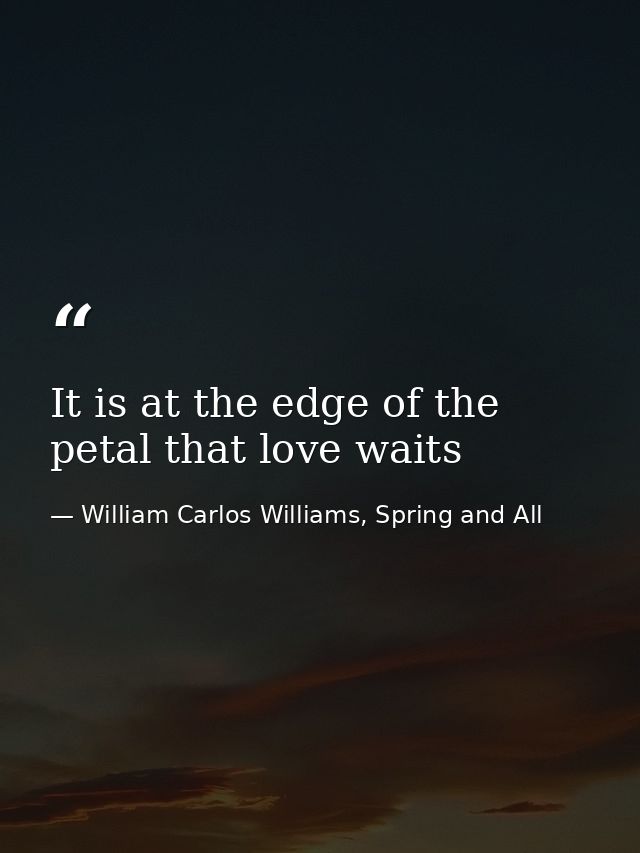 It is at the edge of the petal that love waits — William Carlos Williams, Spring and All
