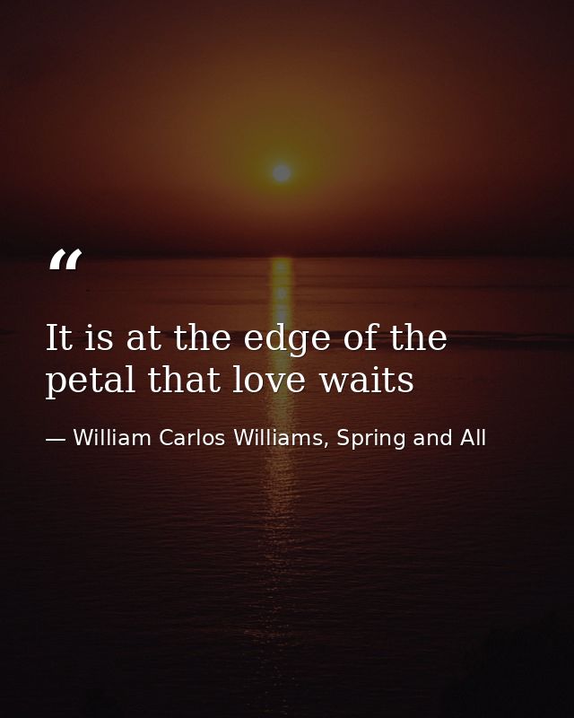 It is at the edge of the petal that love waits — William Carlos Williams, Spring and All