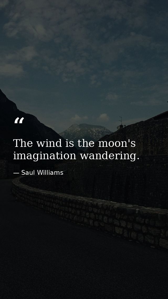 The wind is the moon's imagination wandering. — Saul Williams