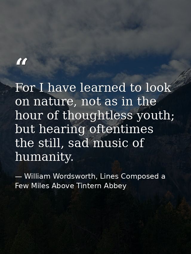 For I have learned to look on nature, not as in the hour of thoughtless youth; but hearing oftentimes the still, sad mus — William Wordsworth, Lines Composed a Few Miles Above Tintern Abbey