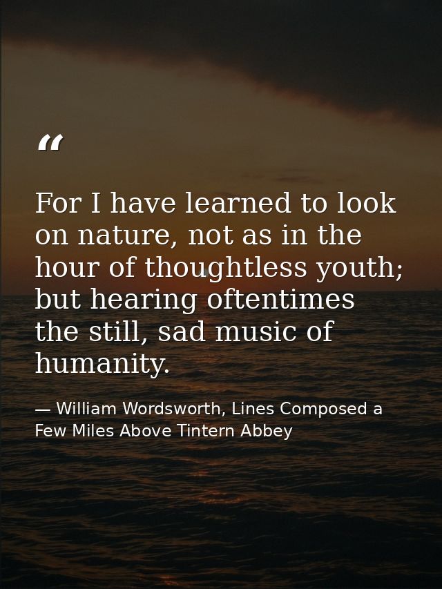 For I have learned to look on nature, not as in the hour of thoughtless youth; but hearing oftentimes the still, sad mus — William Wordsworth, Lines Composed a Few Miles Above Tintern Abbey
