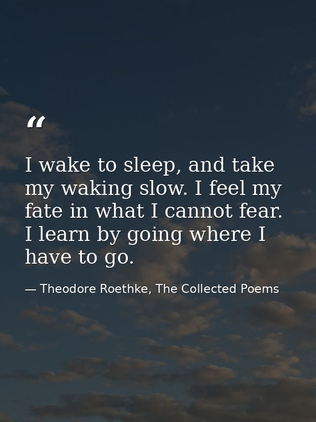 I wake to sleep, and take my waking slow. I feel my fate in what I cannot fear. I learn by going where I have to go. — Theodore Roethke, The Collected Poems