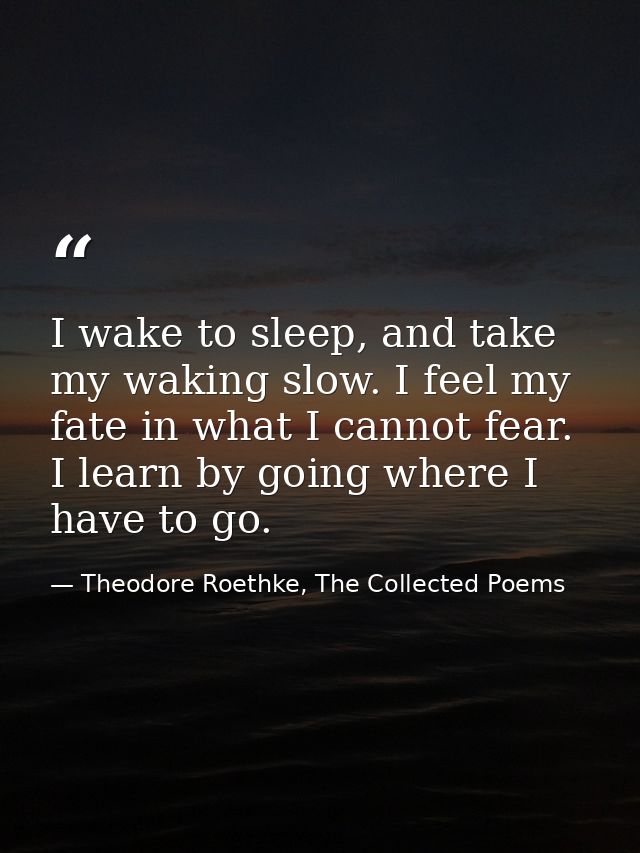 I wake to sleep, and take my waking slow. I feel my fate in what I cannot fear. I learn by going where I have to go. — Theodore Roethke, The Collected Poems