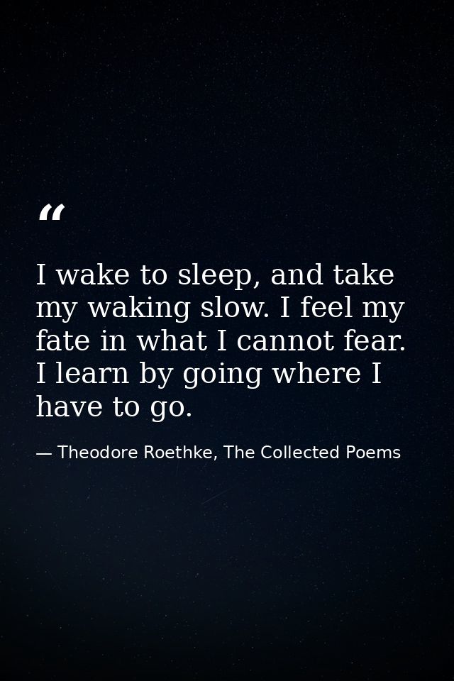 I wake to sleep, and take my waking slow. I feel my fate in what I cannot fear. I learn by going where I have to go. — Theodore Roethke, The Collected Poems