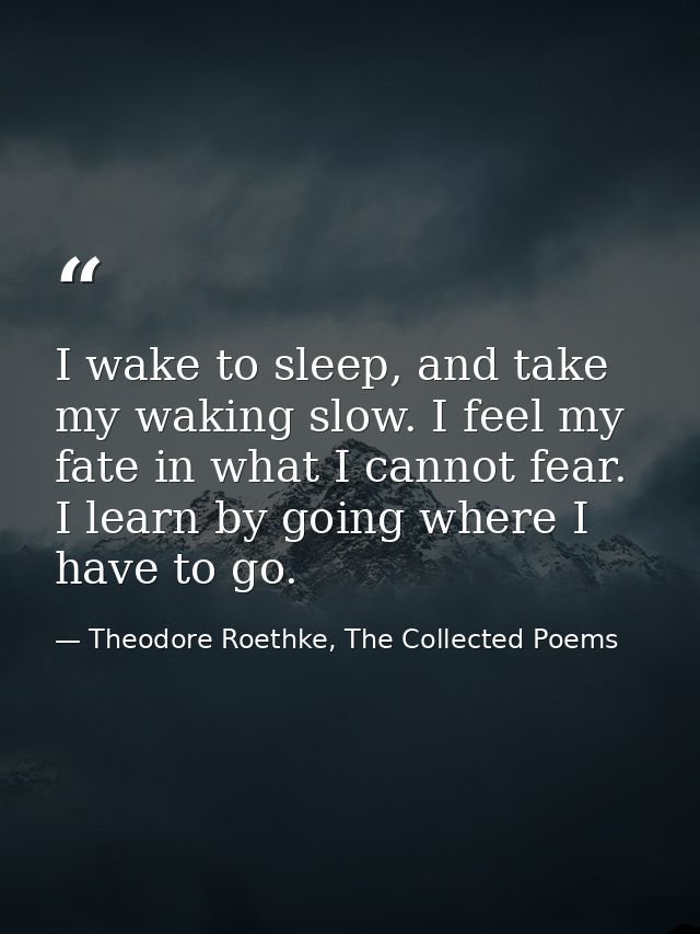 I wake to sleep, and take my waking slow. I feel my fate in what I cannot fear. I learn by going where I have to go. — Theodore Roethke, The Collected Poems