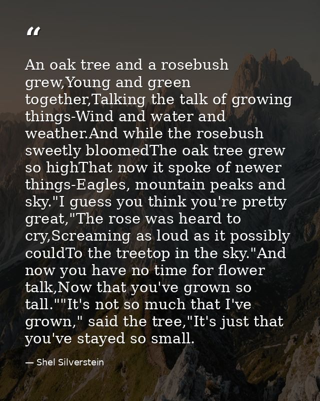 An oak tree and a rosebush grew,Young and green together,Talking the talk of growing things-Wind and water and weather.A — Shel Silverstein