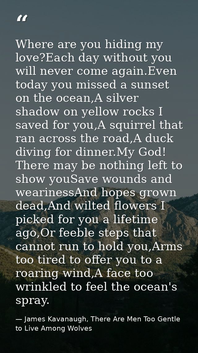Where are you hiding my love?Each day without you will never come again.Even today you missed a sunset on the ocean,A si — James Kavanaugh, There Are Men Too Gentle to Live Among Wolves