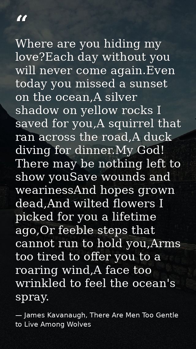 Where are you hiding my love?Each day without you will never come again.Even today you missed a sunset on the ocean,A si — James Kavanaugh, There Are Men Too Gentle to Live Among Wolves