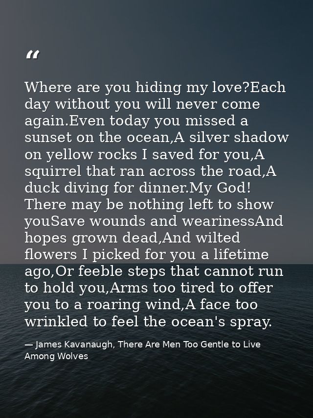 Where are you hiding my love?Each day without you will never come again.Even today you missed a sunset on the ocean,A si — James Kavanaugh, There Are Men Too Gentle to Live Among Wolves