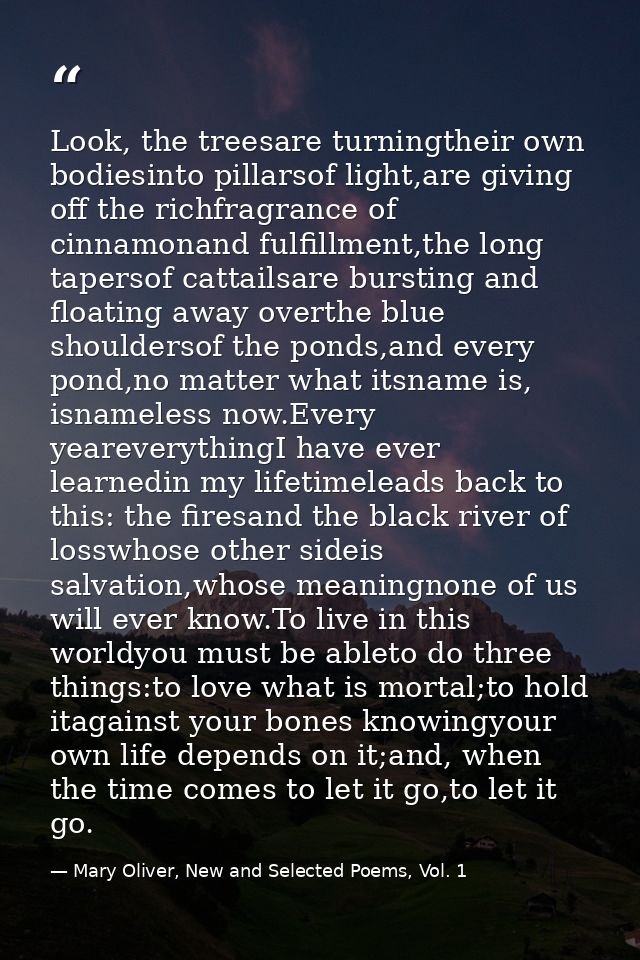 Look, the treesare turningtheir own bodiesinto pillarsof light,are giving off the richfragrance of cinnamonand fulfillme — Mary Oliver, New and Selected Poems, Vol. 1