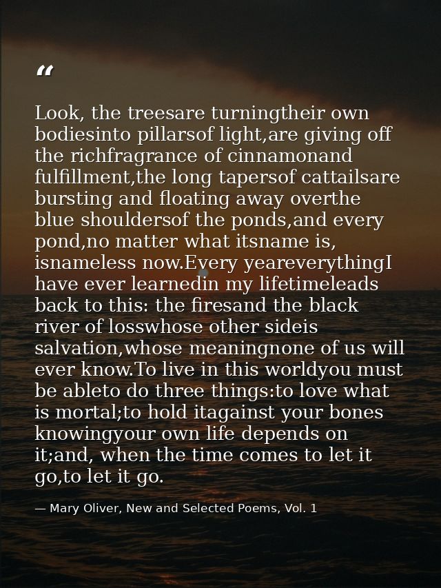 Look, the treesare turningtheir own bodiesinto pillarsof light,are giving off the richfragrance of cinnamonand fulfillme — Mary Oliver, New and Selected Poems, Vol. 1