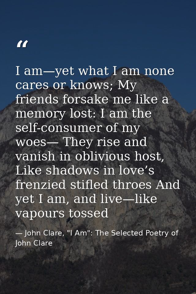 I am—yet what I am none cares or knows; My friends forsake me like a memory lost: I am the self-consumer of my woes— The — John Clare, "I Am": The Selected Poetry of John Clare