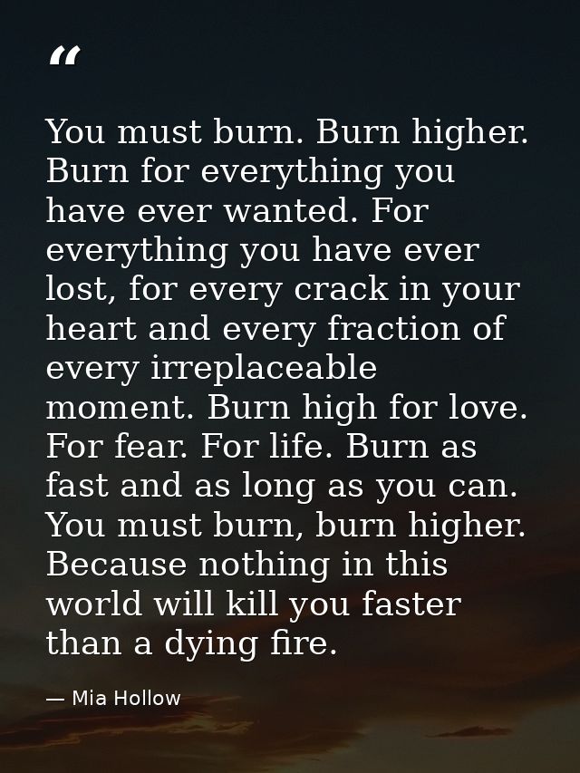 You must burn. Burn higher. Burn for everything you have ever wanted. For everything you have ever lost, for every crack — Mia Hollow