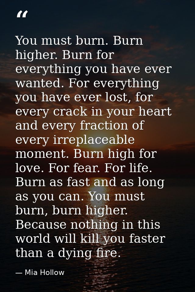 You must burn. Burn higher. Burn for everything you have ever wanted. For everything you have ever lost, for every crack — Mia Hollow